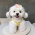 PET SHOW 10Pairs/Pack Flower Dog Hair Bows for Small Medium Dogs Yorkie Girl Boy Flower Bows with Rubber Band Doggies Cat Grooming Hair Accessorie...