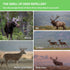 Deer Repellent 10 Pack Peppermint Oil Deer Scram Deer Stopper Balls Natural Deer Off Deer Deterrent for Outdoor Garden Yard Lawn to Keep Rabbit De...