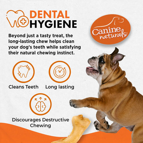 Canine Naturals IrresistiBONES Long Lasting Puppy Chicken and Rice Chew - Made with USA Chicken - All Natural - Added DHA for Healthy Growth - 6 P...