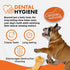 Canine Naturals IrresistiBONES Long Lasting Puppy Chicken and Rice Chew - Made with USA Chicken - All Natural - Added DHA for Healthy Growth - 3 P...