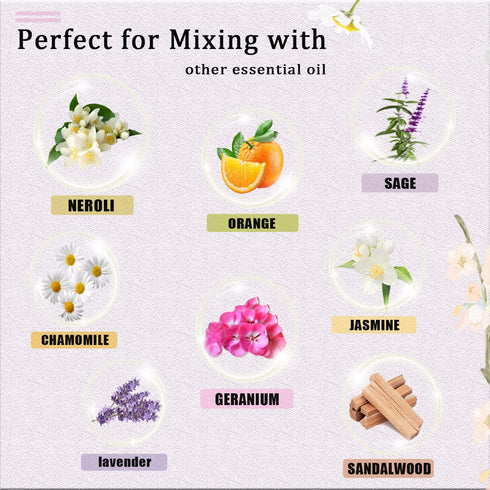 Rose Essential Oil 118mL Large Capacity Rose Oil Premium Essential Oil with Glass Dropper for Diffuser, Soap & Candle Making, Aromatherapy - 4Fl. ...