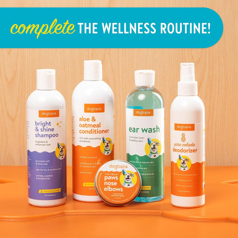 Bright and Shine Shampoo – 16oz Piña Colada Scent | Restoring Shampoo Rich with Soothing Colloidal Oatmeal | Tearless and Alcohol-Free for Everyda...