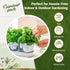 Grow Your Own Herbs Garden Kit - 12 Herb Seeds Variety Pack - Basil Seeds, Mint Seeds, Rosemary Seeds, Oregano Seeds, Parsley Seeds & More Packets...