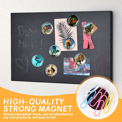 Glass Strong Animals Refrigerator Magnets,12 Pcs Decorative Magnets for Fridge Lovely Decor for Home Kitchen Office Whiteboard (Dinosaur Refrigera...