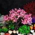 Beaupretty 1 Set Artificial Aquarium Plants Pink Cherry Blossom Tree Decor Fish Tank Tree Decorations Plastic Realistic Plants Turtle Tank Plants ...
