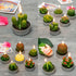 Handmade Delicate Succulent Cactus Candles for Birthday Party Wedding Spa Home Decoration(12 Packs-2)...