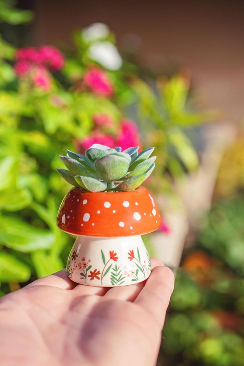 Karma, Shaped Succulent Pot, Artificial Succulents in Ceramic Pot, Faux Mini Succulent Plant, Desk Decor, Office Plants, Succulent Décor Faux Succ...
