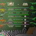 Glow in The Dark Dinosaur Wall Stickers - 10 Large Bright Wall Decals for Bedroom Walls and Ceilings - for Boys Room and Girls Room - Set 2...