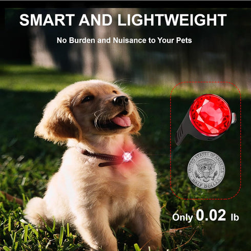 dog collar lights for nighttime clip on, 3 modes Dog Light Rechargeable, 100% Waterproof light for dog collar to see dogs at night. Pet Collr Acce...