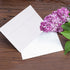 White Envelopes, 50 Pack, 5 x 7 Inch, A7 Envelopes, Card Envelopes, Large White Envelopes, Wedding Envelopes, Invitation Envelopes, Greeting Card ...