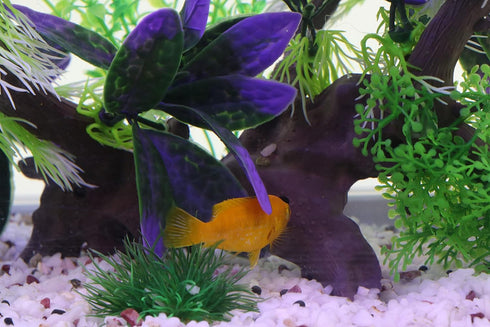 AQUA KT Aquarium Landscape Simulation Artificial Plant Purple, Plastic Plant for Fish Tank Decoration, Aquatic Water Plant, Fish Bowl Ornament...