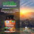 Pure Cinnamon Capsules, Certified Organic Ceylon Cinnamon Pills, Non-GMO, Gluten-Free, Dairy-Free, Sri Lanka Cinnamon Powder Supplement, Best Vega...