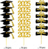 2025 Graduation Cupcake Toppers, 48 PCS Food/Appetizer Picks For Graduation Party Mini Cake Decorations, Diploma, 2025, Grad Cap Set 48 Pieces (01...