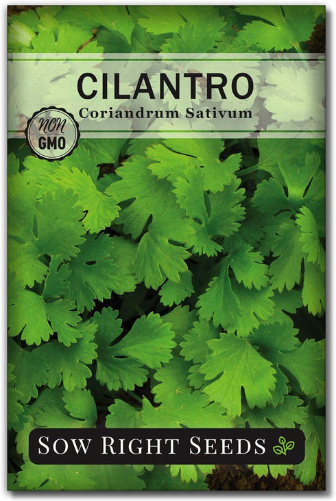 Sow Right Seeds - 5 Herb Seed Collection for Planting - Genovese Basil, Chives, Cilantro, Italian Parsley, and Oregano to Plant and Grow a Home Ve...