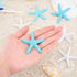 PH PandaHall 2.2 Inch Pencil Finger Starfish, 16pcs Starfish Ornaments Resin Nautical Coastal Beach Ocean Flatback Ornaments for Beach Wedding Par...