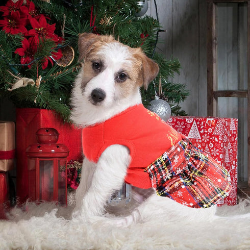 Dog Christmas Outfit Dog Dresses for Medium Dogs Girl XXS Puppy Clothes Holiday Pet Dress Xmas Cat Apparel Clothing Plaid Doggy Skirt Party XXS Do...