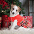 Dog Christmas Outfit Dog Dresses for Medium Dogs Girl XXS Puppy Clothes Holiday Pet Dress Xmas Cat Apparel Clothing Plaid Doggy Skirt Party XXS Do...