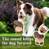 JMZDS&JL Squeaky Dog Toys, Plush Stuffed Crinkle Pet Chew Toys, Stuffing Dog Toys for Small Medium Large Dogs, Puppy Teething Toys for Boredom & T...