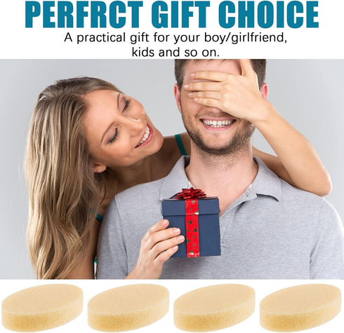 4 Pcs Lamp Shade Sponge Dry Lampshade Cleaner Fabric Cleaner Cleaning Reusable Sponges for Removing Dirt Dust Soot Pet Hair Window Shades Artwork ...