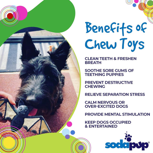 SodaPup Vampire Bat – Durable Dog Chew Toy Made in USA from Non-Toxic, Pet Safe, Food Safe Nylon Material for Mental Stimulation, Clean Teeth, Fre...