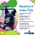 SodaPup Vampire Bat – Durable Dog Chew Toy Made in USA from Non-Toxic, Pet Safe, Food Safe Nylon Material for Mental Stimulation, Clean Teeth, Fre...