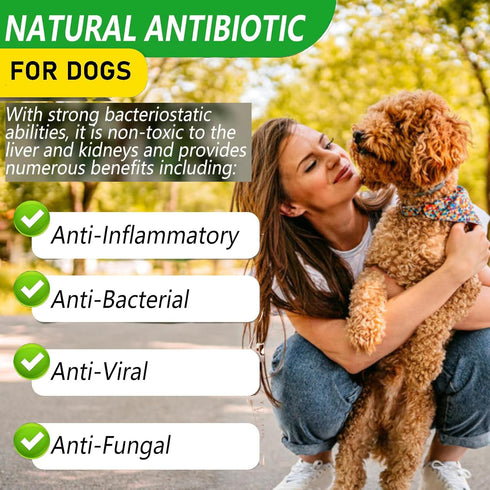 Natural Antibiotics for Dogs - Pet Antibiotic - Healing Aid and Skin Repair for Wounds, Sores, and Abrasions, Provides Itch Relief for Irritated S...