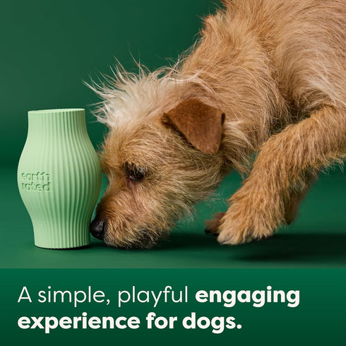 Earth Rated Treat Dispensing Dog Toy, Enrichment Toy for Adult and Puppy Dogs, Slow Feeder, Dishwasher and Freezer-Safe, Natural Rubber, Small, Gr...