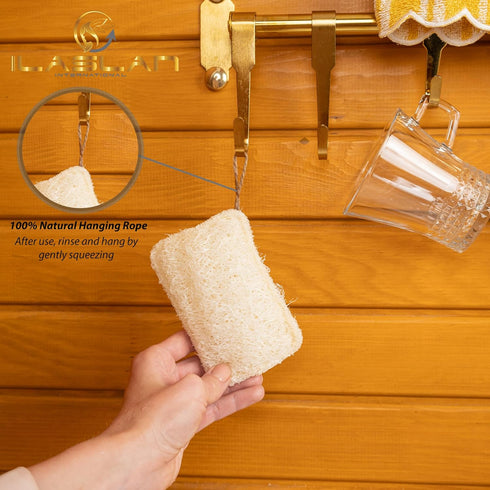 Natural Loofah Dish Sponge Scrubber | Eco-Friendly, Natural, Biodegradable and Reusable Dish Loofah Kitchen Sponge | 3 Count (1 Pack)...