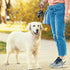 2 Pieces Dog Treats Bag Pet Poop Treat Bag Holder Dog Poop Treat Bag Dispenser Outdoor Holder Carrier Dog Waste Zipper Pouch with Metal Button for...