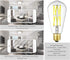 LEOOLS Dimmable E26 LED Filament Light Bulbs, 100 Watt Equivalent,5000K Daylight White,Classic Clear Glass Edison Style Vintage LED Light Bulbs,4 ...