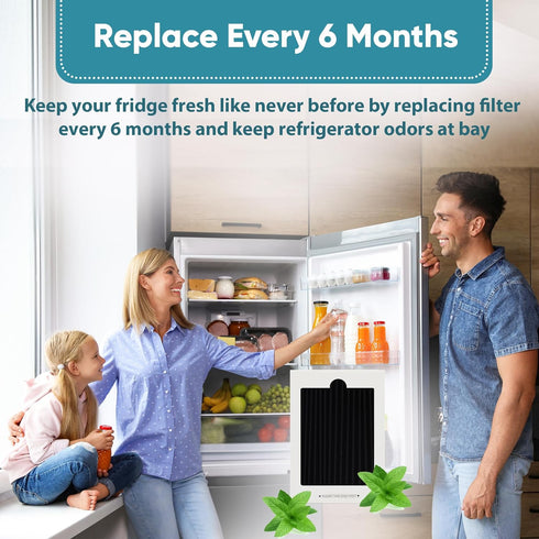 Omaeon Refrigerator Filters Compatible with 242047804 Frigidaire AIR Filter - PureAir Ultra, EAFCBF and Electrolux Air Filter Replacement - Electr...