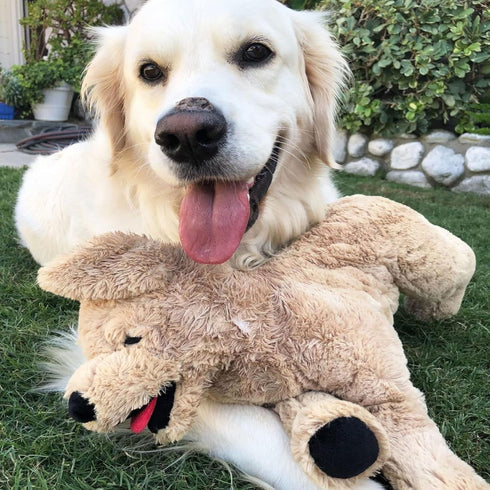 LotFancy Dog Stuffed Animals Plush, 21" Soft Cuddly Golden Retriever Plush Toys, Large Stuffed Dog, Puppy Dog Stuffed Animals, Mother's Day, Birth...