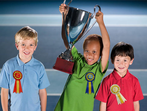 Premium Award Ribbons Blue,Red,White - 1st, 2nd, 3rd Place - 1 Set (3 Ribbons) - First Second Third Place Winner Ribbons...