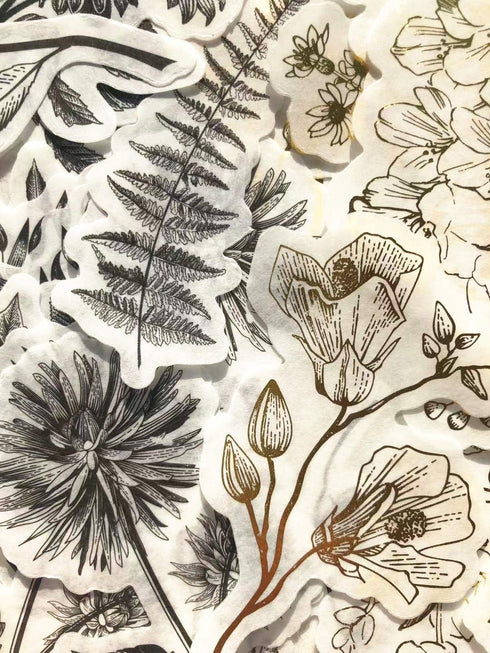 Vintage Zen Botany Flower Washi Sticker Pack, Artsy Natural Black-and-White Plants with Golden Sketch Decals Collection, Wild Plants Gray and Gold...