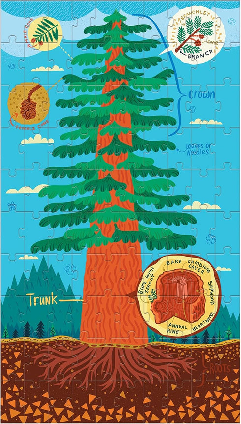 Plant Anatomy Science Puzzle Set from Mudpuppy - Includes Three 100 - Piece Puzzles with Colorful Illustrations, Ages 6+, Trifold Insert with Fun ...