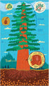 Plant Anatomy Science Puzzle Set from Mudpuppy - Includes Three 100 - Piece Puzzles with Colorful Illustrations, Ages 6+, Trifold Insert with Fun ...