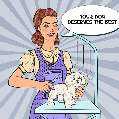 9 Pieces Pet Grooming Loops Nylon Restraint Noose Adjustable Fixed Dog Cat Safety Rope for Pet Grooming Table Bathtub (Black)...