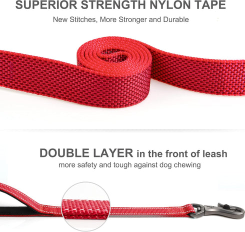 Fida 6 FT Heavy Duty Dog Leash with 2 Comfortable Padded Handles, Traffic Handle & Advanced Easy Snap Hook, Reflective Walking Lead for Large, Med...