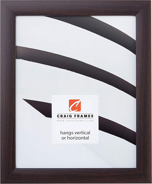Craig Frames 232477781620N 1-Inch Wide Picture/Poster Frame in Smooth Wood Grain Finish, 16 by 20-Inch, Brazilian Walnut...