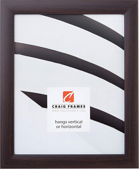 Craig Frames Contemporary Picture Frame, 8 x 12 Inch, Brazilian Walnut Brown...