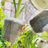 Plant Pots 7 inch Set of 3, Clear Plastic Nursery Pots with Drainage Holes and Saucers, Seedling Pots Seed Starter Pots Planter Pots for Indoor Ou...