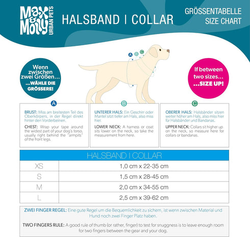 Max & Molly Comic Cartoon Dog Collar with Safety QR Code Dog Tag - Soft, Adjustable, & Waterproof Collar, Cute Summer Themed Designs for both Girl...