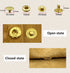 12.5MM Leather snap Fasteners kit? Brass Metal Button Snaps for Clothes?Jackets?Jeans ?Wears Bags (with Standard Install Tool?Practice Operations ...