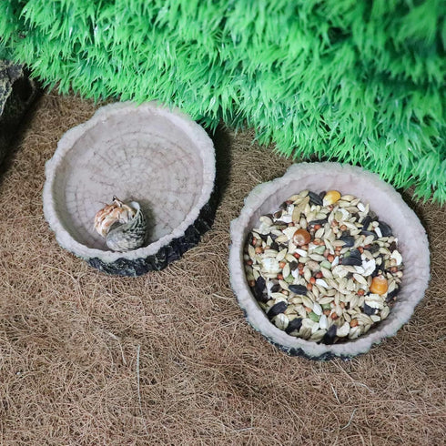 3 Pack Reptile Water Dish Food Bowls, Hermit Crab Food Dish, Bearded Dragon Water Bowl, Suitable for Hermit Crab Bearded Dragon Lizard Gecko Torto...