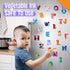 Magnetic Uppercase Letters, 26 Pieces Letter Magnets Educational Learning Tool Alphabet and Animal Recognition for Kids Toddlers 3 4 5 Years Old...