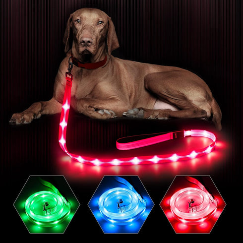 BSEEN LED Dog Leash - USB Rechargeable Light Up Dog Leash - Glowing Pet Leash - LED Dog Lead for Nighttime Dog Walking (Pink?, 47 Inch)...