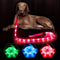 BSEEN LED Dog Leash - USB Rechargeable Light Up Dog Leash - Glowing Pet Leash - LED Dog Lead for Nighttime Dog Walking (Pink?, 47 Inch)...