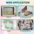 OBSEDE Art Craft Glue Quick Dried Clear Adhesive Refill Bottles with Fine Tip Liquid Precision Quilling Glue Supplies Scrap Kits Tools Applicator ...