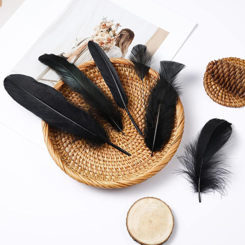 Larryhot Black Craft Feathers Bulk - 240pcs 6 Style Mixed Natural Feathers for Wedding Home Party, Dream Catcher Supplies and DIY Crafts (Black)...