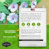 Marsh Mallow Seed for Planting - 1 Packet with Instructions to Plant and Grow Rare Medicinal Flowering Herbs in Your Home Vegetable Garden - Non-G...
